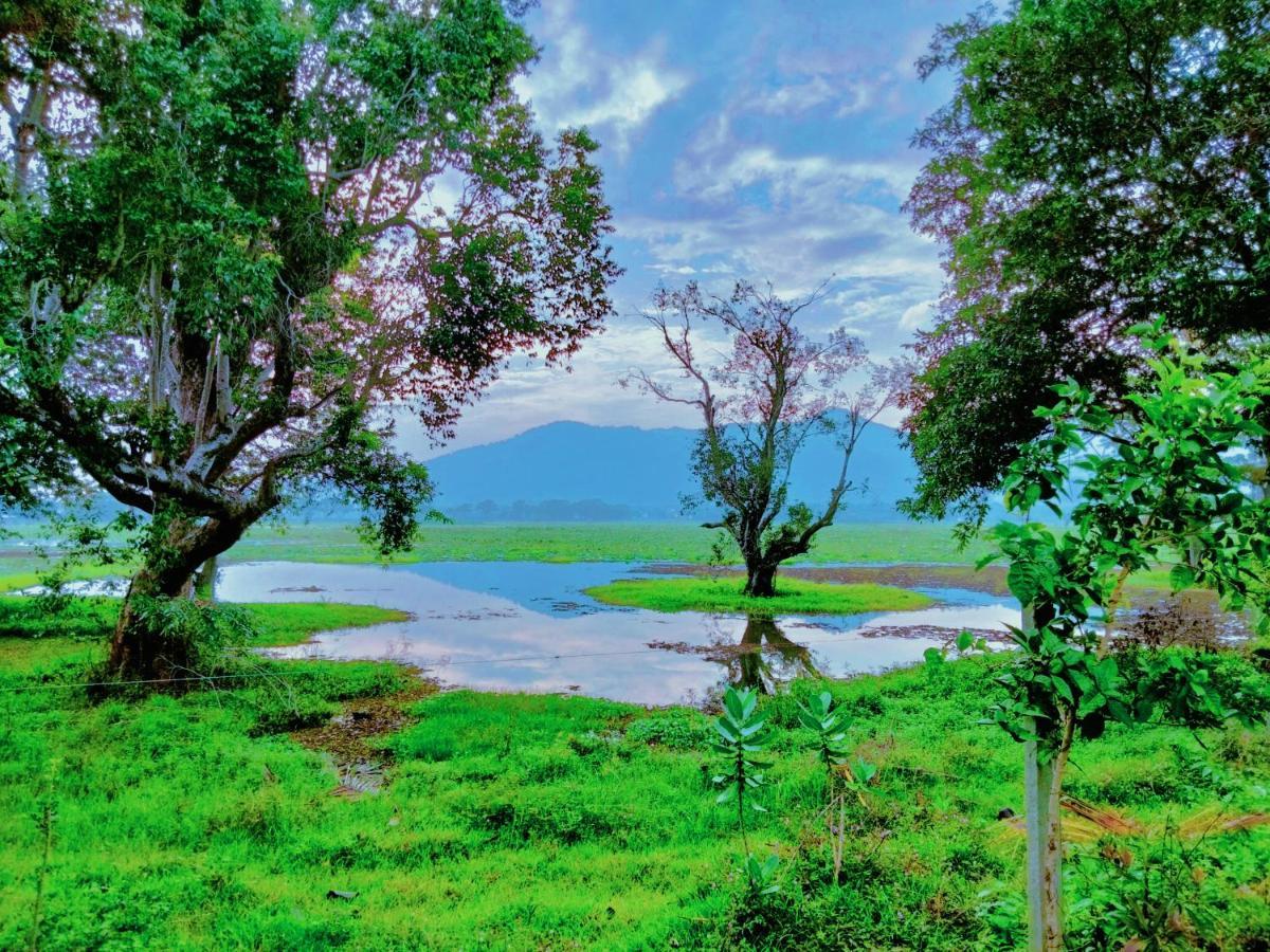 Lake Front Yala Safari Kataragama Exterior photo