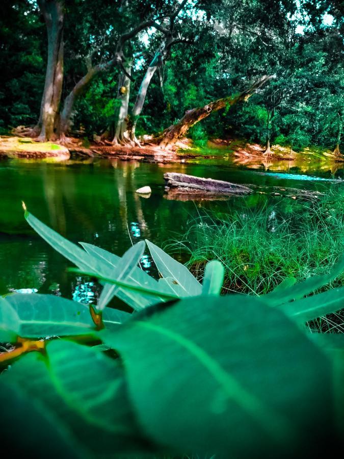 Lake Front Yala Safari Kataragama Exterior photo