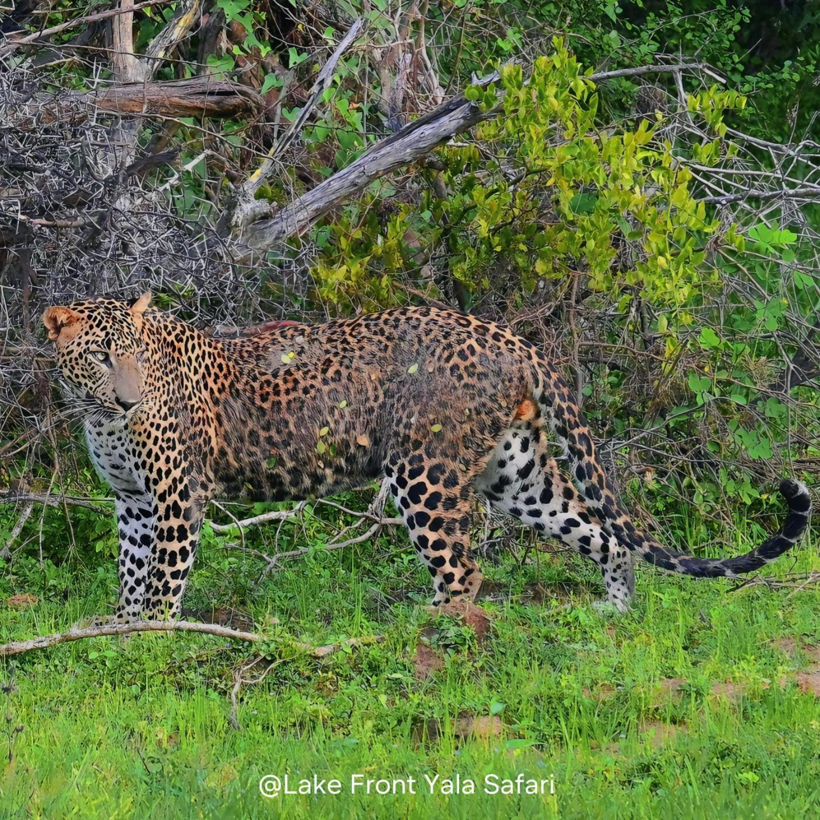 Lake Front Yala Safari Kataragama Exterior photo