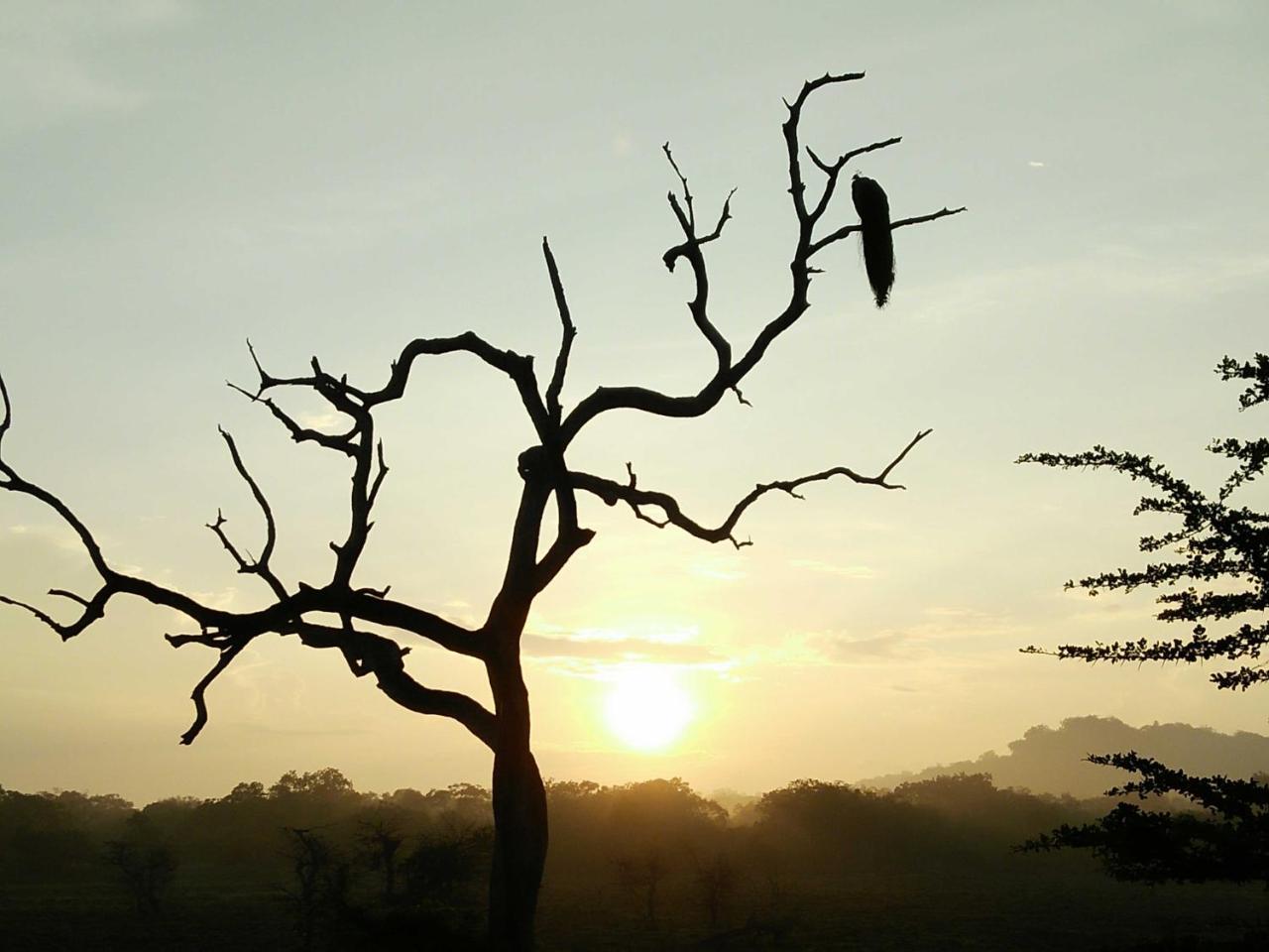 Lake Front Yala Safari Kataragama Exterior photo
