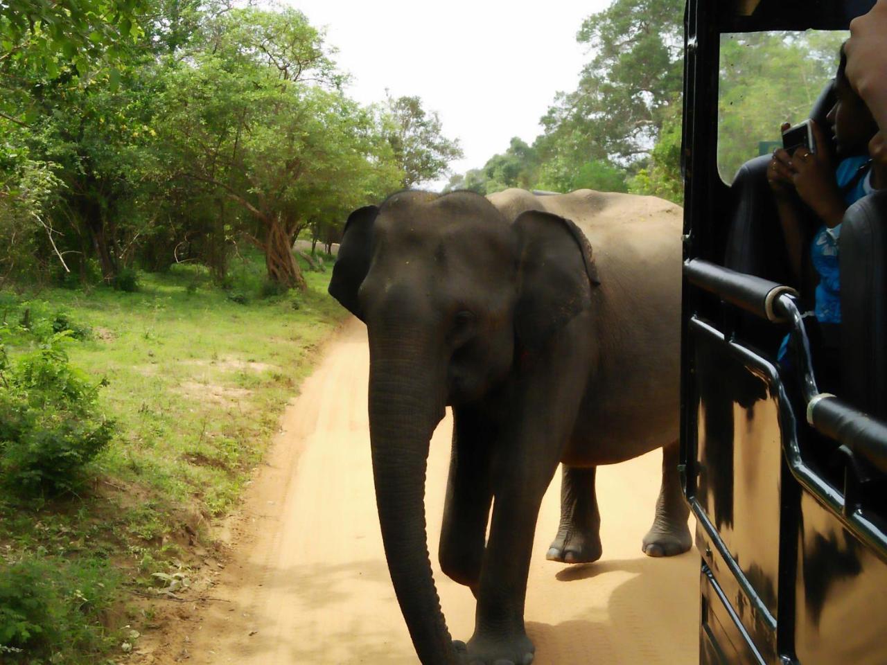 Lake Front Yala Safari Kataragama Exterior photo